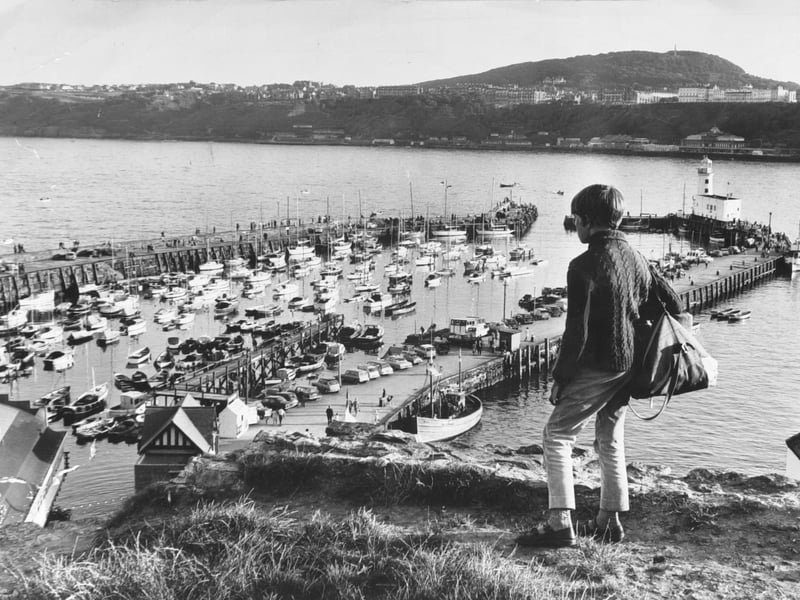 Overlooking the Harbour in August 1969.