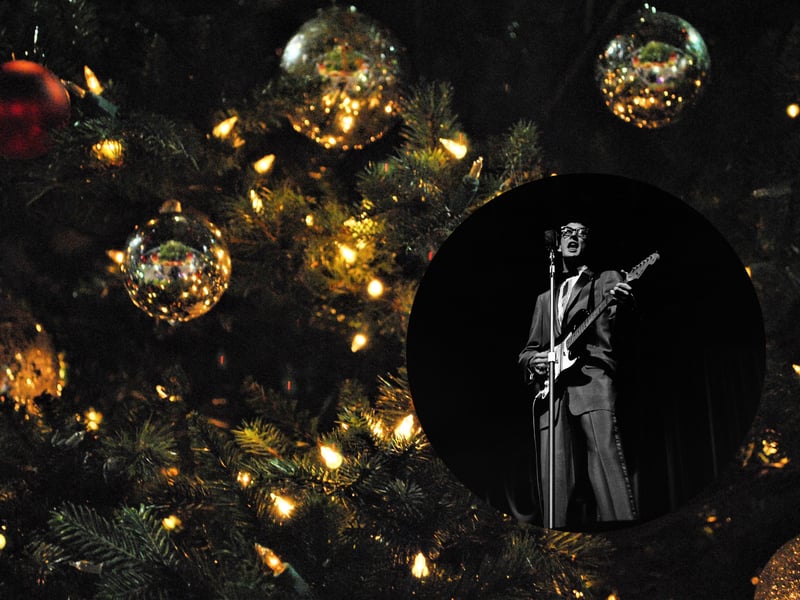Actual lyric: "Deck the halls with boughs of holly." / Misheard as: "Deck the halls with Buddy Holly."