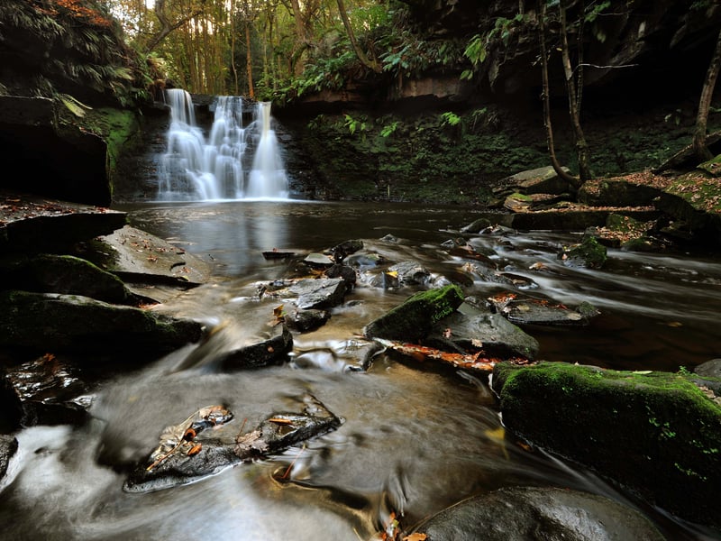 This wonderful area of woodland spanning 70 acres is open to the public and features a stunning, 20-foot waterfall. The historic woodland is near Bingley and is has become a wildlife haven.