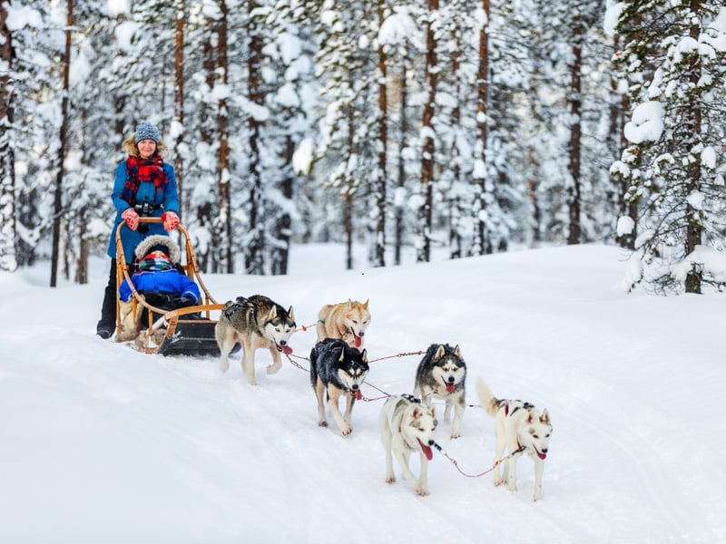 For those seeking adventure and an adrenaline boost, a husky sled ride is the ultimate way to spend your Twixmas. HuskyHaven in Aberdeenshire offers a one-of-a-kind experience with their adorable team of Siberian huskies. Guests can take part in hands-on treks, where they’ll have the chance to drive their own dog team along scenic trails in a standing sled. Full instructions are given, and guests are involved in both pre- and post-run preparations. The staff guide each trek, ensuring participants are paired with the right team of huskies based on their abilities. After the adventure, there’s an opportunity to unwind in a cosy cabin with hot drinks and snacks. There are three exciting treks, perfect for different experience levels, starting from £65 per person. They are open in between Christmas and New Year but all HuskyHaven activities must be pre-booked in advance. 
