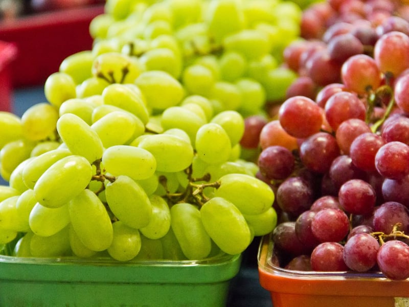 In Spain, the New Year is marked by the unique tradition of eating twelve grapes, one with each chime of the clock at midnight. This custom, said to bring good fortune for the year ahead, is a lively and often humorous challenge for participants. Families and friends gather around their televisions or in public squares to synchronise their grape-eating with the clock’s strikes. The tradition, known as 'Las Doce Uvas de la Suerte' dates back to the late 19th century and is believed to have started in Alicante as a way for farmers to promote their grape harvest.