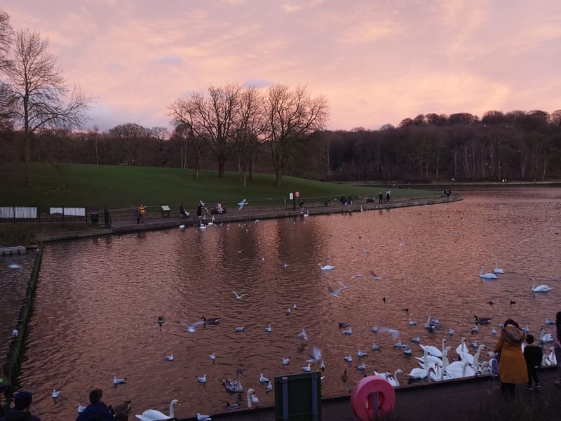 Specifically, the white-stone Pavilion near the lakeside. If you want that classic movie-ending feel, the Waterloo Pavilion provides a stunning backdrop against the water. It’s a Leeds favourite for a reason - it’s wide, open, and timelessly romantic. 👫 Mansion Ln, Roundhay, Leeds LS8 2HH