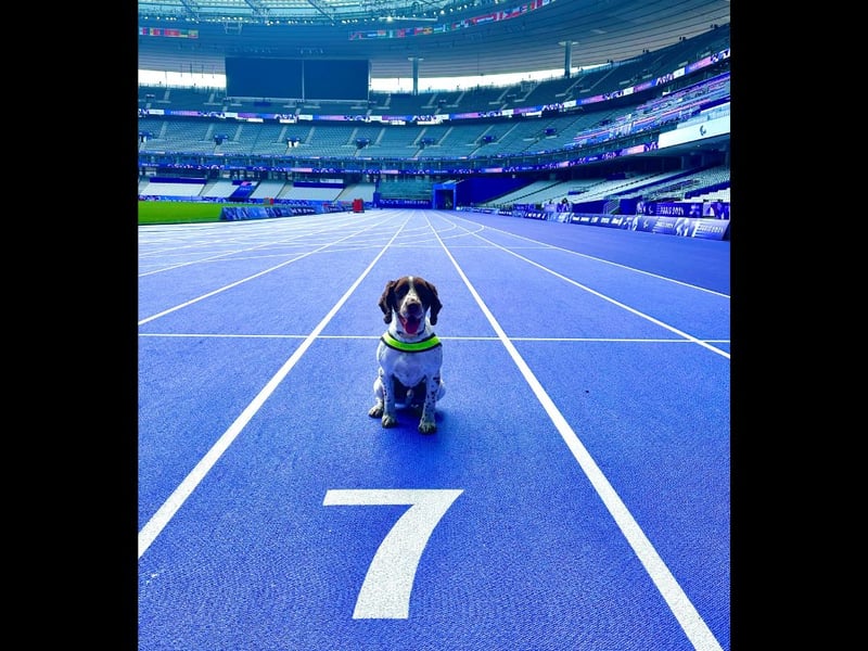 Cody at the start line of the 100m at Stade de France.