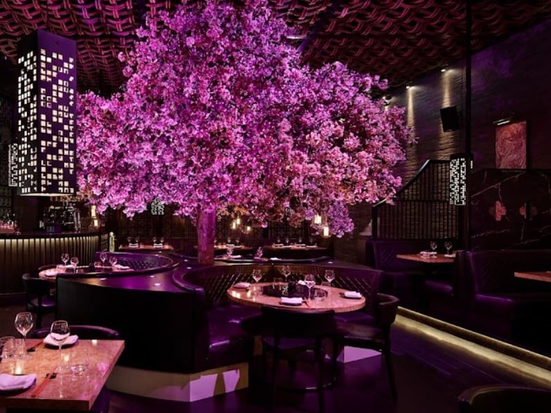 Tattu is offering 30% off food as part of its January sale. Newsletter subscribers can enjoy an extra 10%.