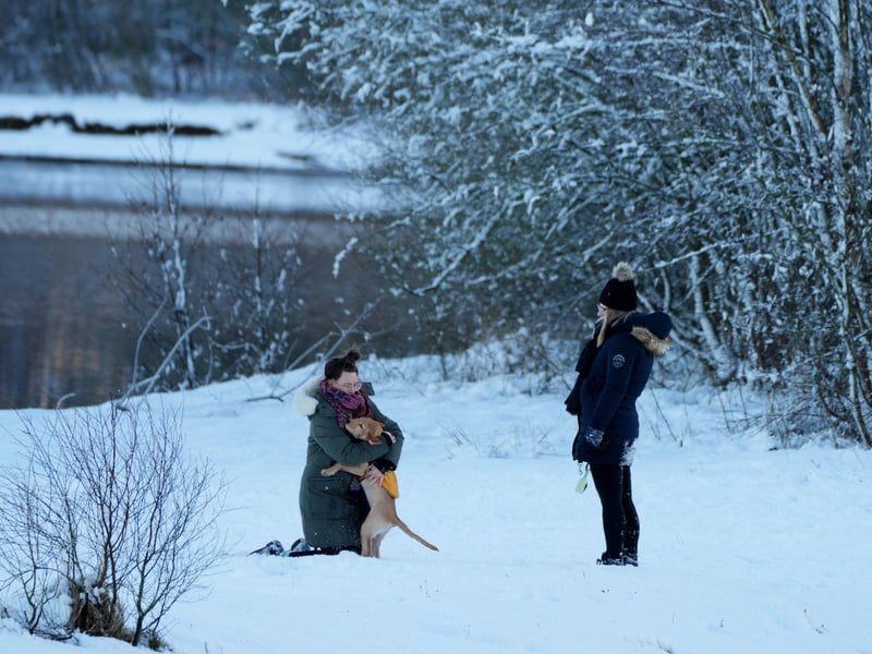 This pair were spotted playing with their lovable pooch in the snow.