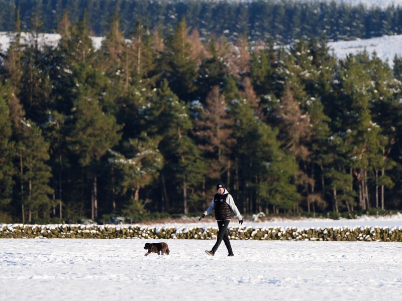 A person walks their dog through the snow.