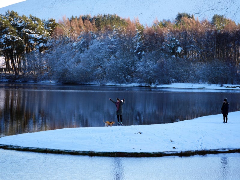 A dog plays with its owner by the water in the Pentland Hills.
