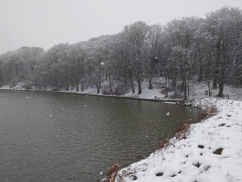There were no swans in sight on a frosty Waterloo Lake.