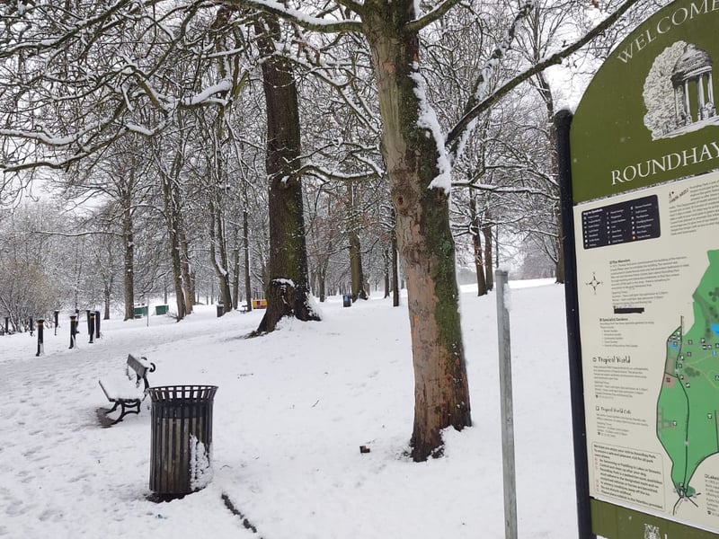 Tracks in the snow led to more fun in Roundhay Park.