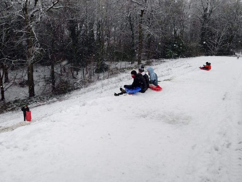 Sledging pros in the making at Roundhay Park.