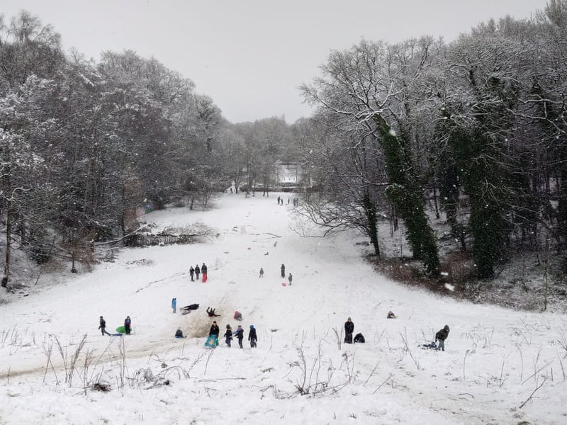 Hill 60 sledgers caught mid-race.