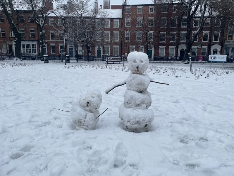 A family of snowmen brought joy to the city centre park.