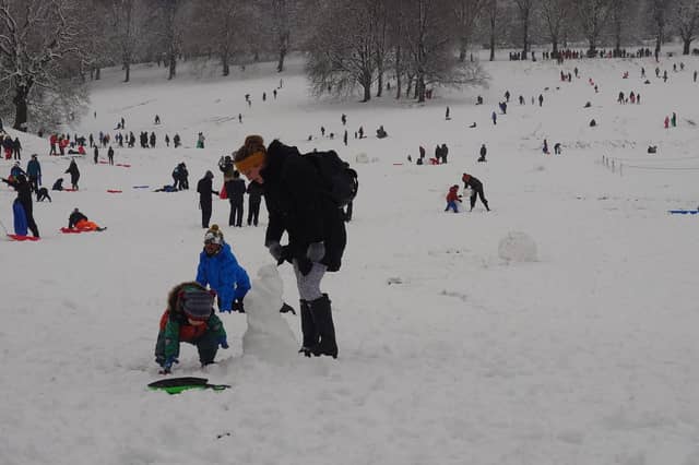 Tiny snowmen appeared all over Roundhay Park this morning after the overnight snow.