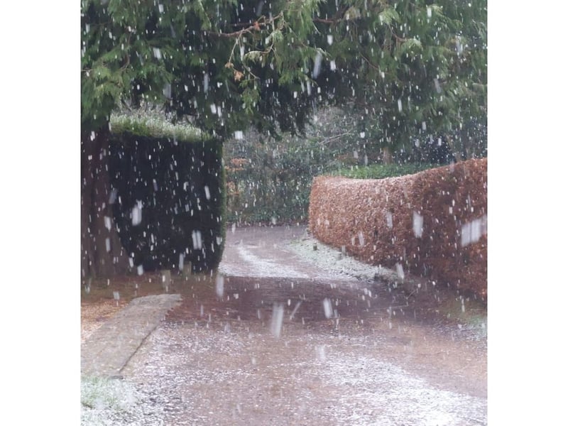 A picturesque scene as snow starts to fall in rural parts of Hampshire.