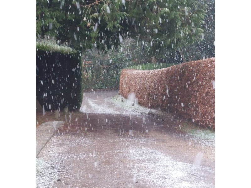 It started snowing around 2.30pm near Petersfield.