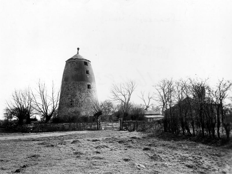 A view across a field of the old windmill at Seacroft, seen from north. Pictured in March 1949.