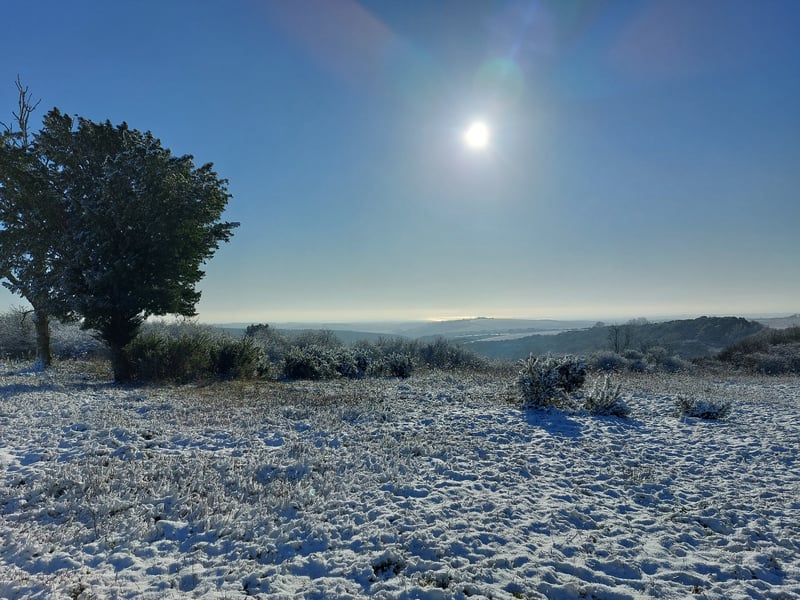 It was a beautiful winter's day on Butser Hill, with dog walkers making the most of the conditions.