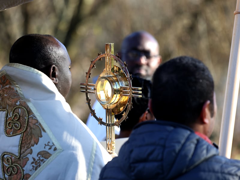 The procession at Baffins Pond