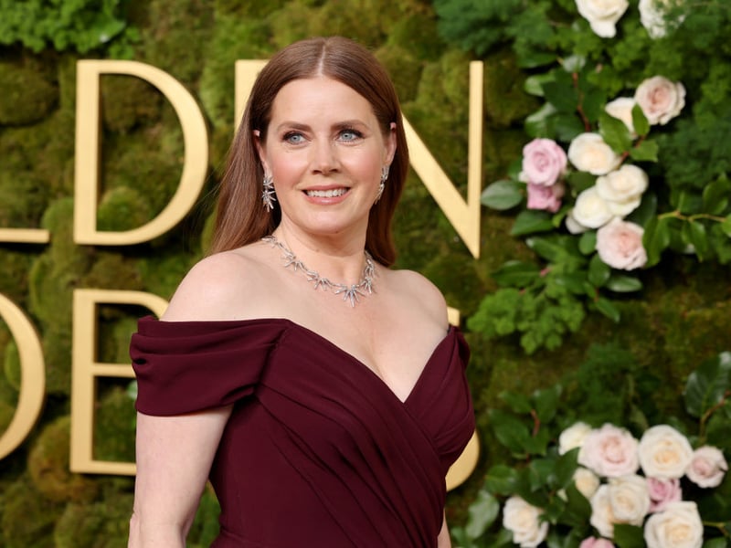 Next up, with odds of 18/1, is Amy Adams. In 'Nightbitch' she has plenty to get her acting teeth into, as she transforms into a dog, complete with tail.