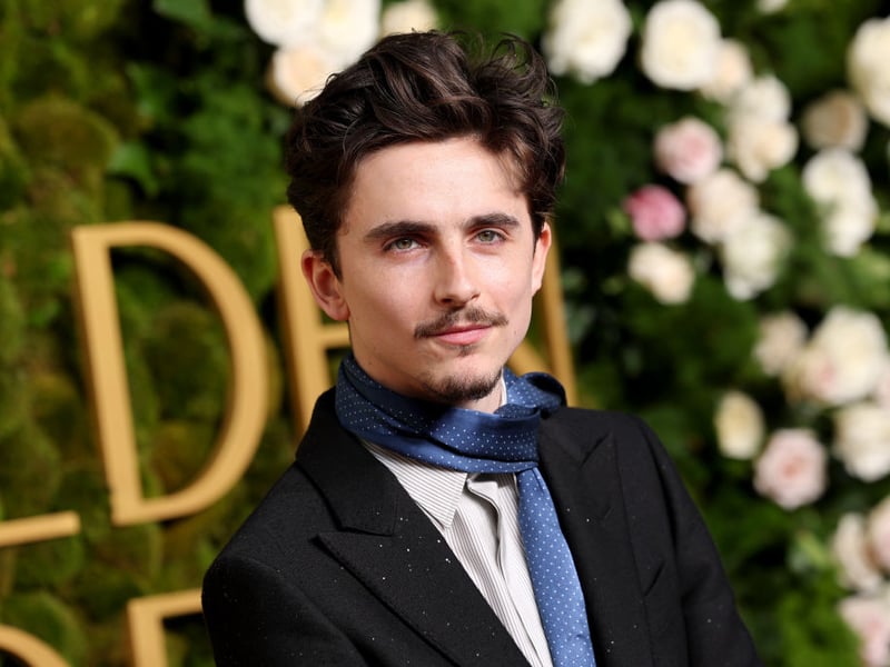 A late surge has seen Timothee Chalamet come from nowhere to be second favourite for Best Actor. He's now priced at just 2/1 to triumph for his performance as Bob Dylan in biopic 'A Complete Unknown'.