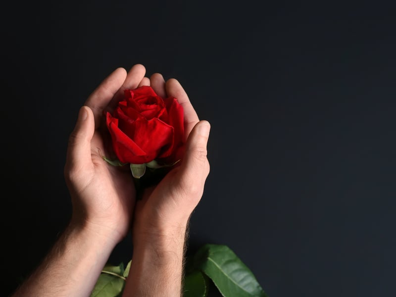 One of Burns’ most famous poems, here he declares his love for another woman by comparing it to a rose, using the imagery of nature to paint a picture of his devotion with his words. 
