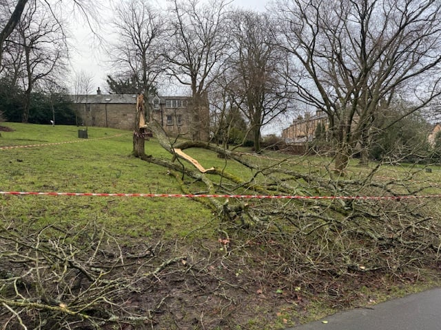 Parts of the Botanic Gardens has to be cordoned off for safety.