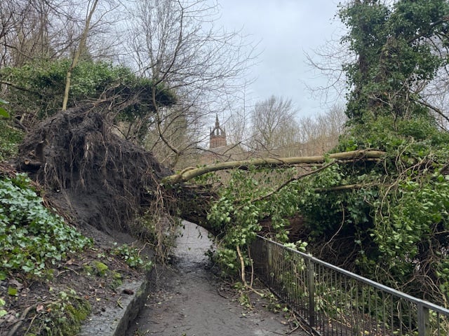 A huge tree that has fallen over the Kelvin Walkway, destroying a metal fence.