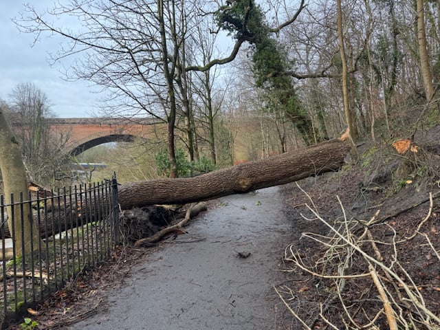 Another tree blocking the Kelvin Walkway.