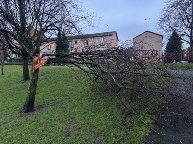 Damage was evident even in smaller, more sheltered parks - as this picture of Dowanhill Park shows.