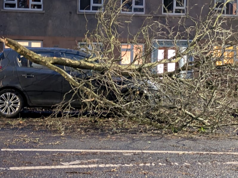 A branch crashed to the ground near a parked can on Cleveden Road.