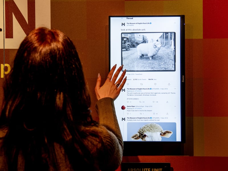 The "absolute unit" meme created by staff at the Museum of English Rural Life in Reading in 2018 is now on display. The meme that quickly went viral is the first 'digitally born object' to go on display at the museum.