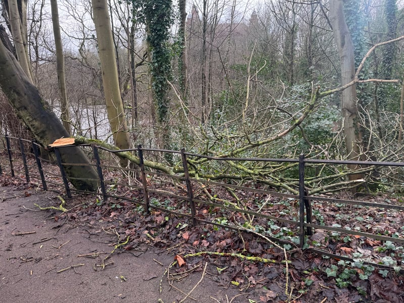 The banks of the River Kelvin were littered with fallen branches.