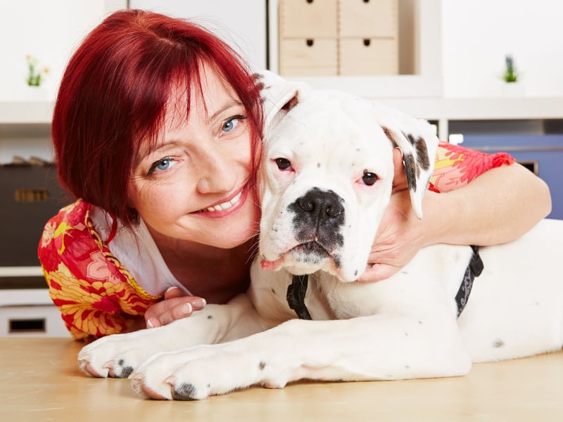 They may look a little grumpy, but the Boxer is known for making unusually deep and strong bonds with their family. The downside to this is that they are demanding of attention do can be fairly high maintenance. The upside is that for every bit of affection you given them, they will mirror it back with interest.