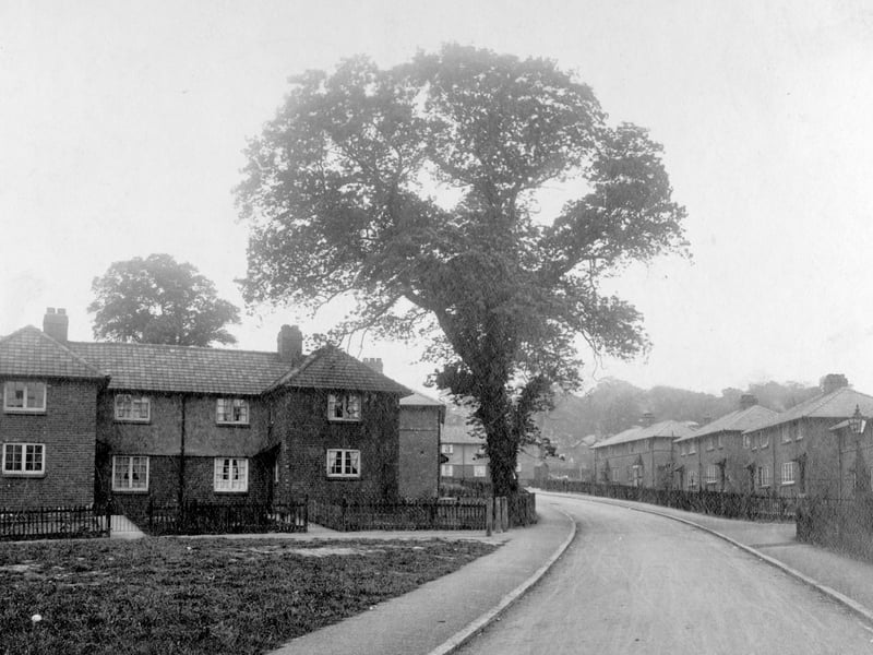The Wyther Housing Estate. Semi detached houses with front gardens line the road. A large oak tree is visible in the centre. Pictured in May 1929.