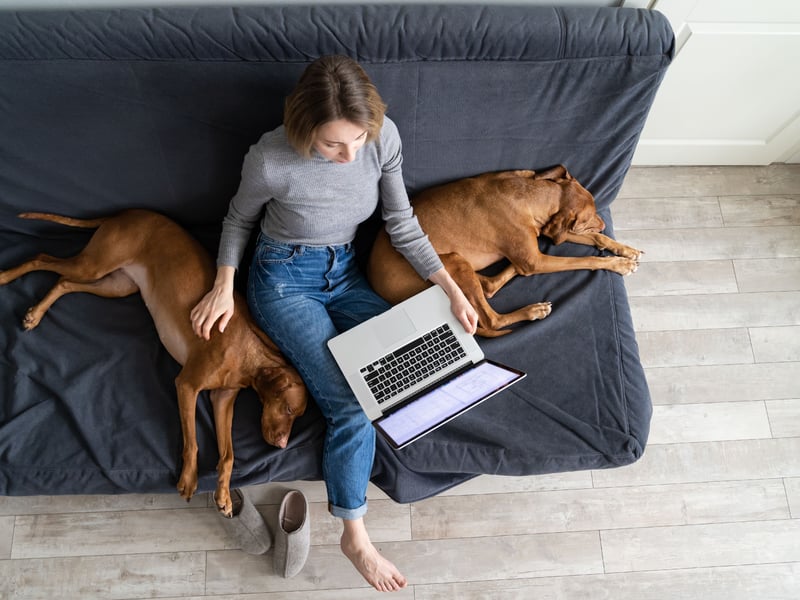 Dogs are social creatures, and being close to you — even without direct contact — shows their trust and affection. For some dogs, sitting on your lap is their ultimate display of love, while others may prefer to lie nearby. Watch for their choice of proximity, as this often reflects their comfort level and love for you.