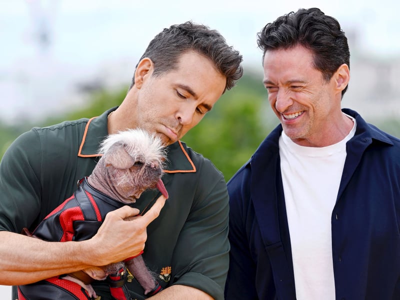 Peggy was shot to global fame after winning the title of the UK's ugliest dog and being cast as Dogpool in superhero blockbuster 'Deadpool & Wolverine'. I'll set you back £40 for a picture with her and another £40 for a 'pawtograph' (plus booking fee).