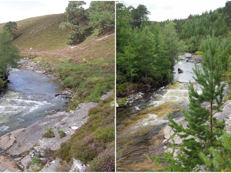 Lower Quoich on the estate in 2011 compared to how the same area looks today. With the reduction in grazing pressure, Ms Rao said young pine trees can be seen charging up the slopes, birch saplings tracking the riverbanks and willows and juniper emerging out of the heather.