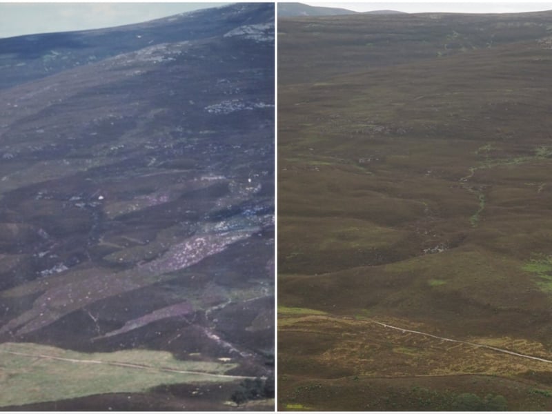 Carn na Drochaide, a corbett hill above Braemar photographed in 1999 and again in 2022. The landscape shows less evidence of muirburn, a traditional land management technique that's used to maintain open moorland, improve grazing, and reduce the risk of wildfires. The NTS does not use this form of land management anymore in its conservation work.