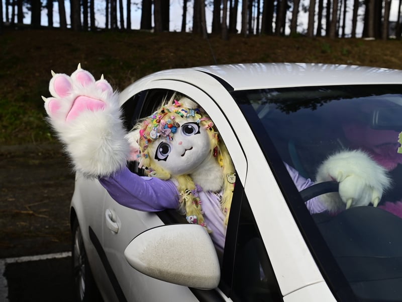 A furry poses in a car during the convention