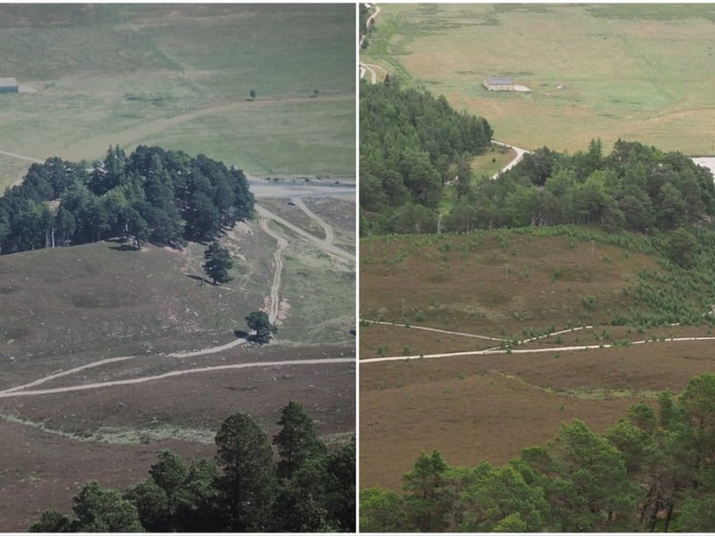 Lower Quoich from a different angle showing a slight change in the landscape from 1999 to 2022. Ms Rao said some of the trees growing on the estate have taken a while to respond to the reduction in grazing, but there has been a more noticeable shift in the last 15 years.