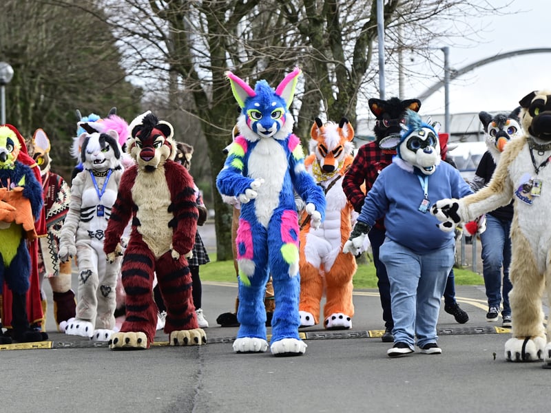 The event will feature an event first, a dance battle, as well as Fursuit Lounges, for people to mingle, a 'barkade', a casino, tarot night, and events for the different species to meet.