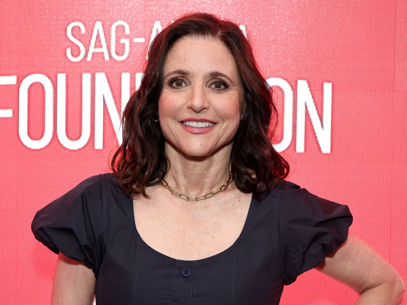 The hugely-popular sitcom 'Seinfeld' made everybody involved in it fabulously wealthy, including Julia Louis-Dreyfus who played Elaine. She went on to star in 'The New Adventures of Old Christine' and 'Veep'. She's won more Primetime Emmy Awards and Screen Actors Guild Awards than any other performer - and earned around $250 million.