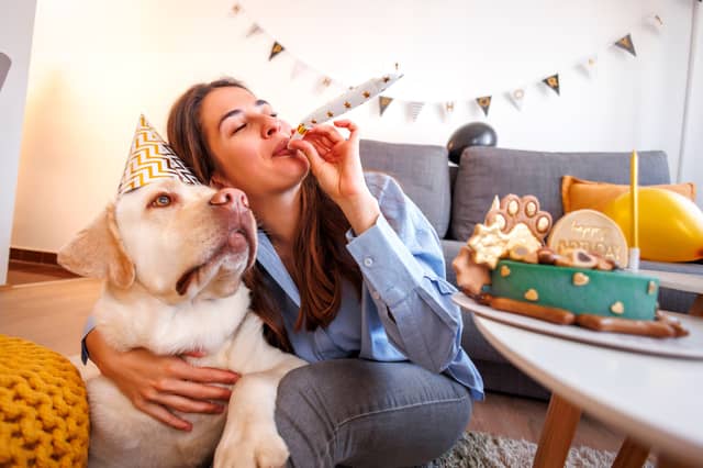 The number of birthdays you can expect to spend with your dog largely depends upon the breeds.