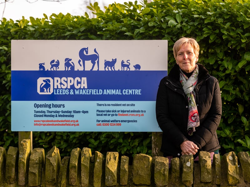 CEO Caroline Lewis-Jones said that costs have gone "up and up and up" and that as a result the branch has had to take the difficult decision of not taking any more dogs until the financial situation is more stable. 