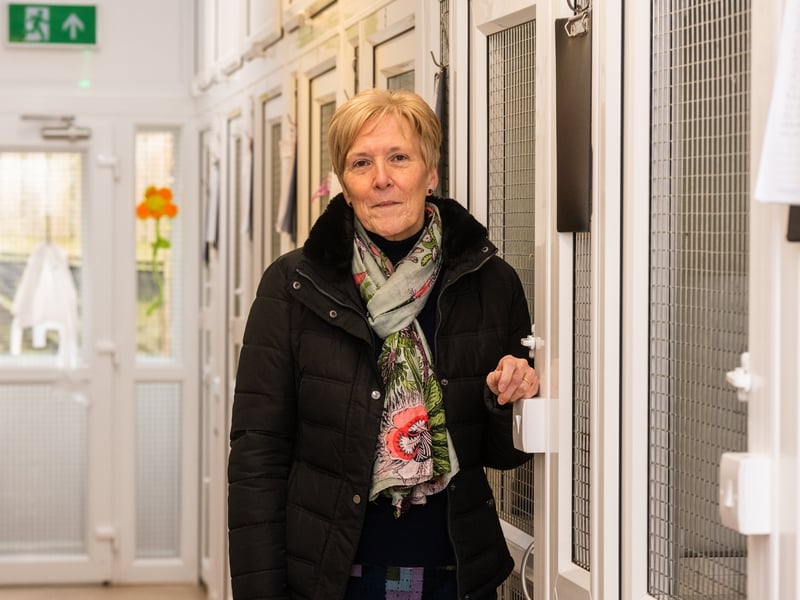 A fundraising page for the page has so far received nearly £25,000 of donations. Ms Lewis-Jones said: "We have been overwhelmed by all of the support from the public and other branches in the RSPCA family. People have been incredibly generous."