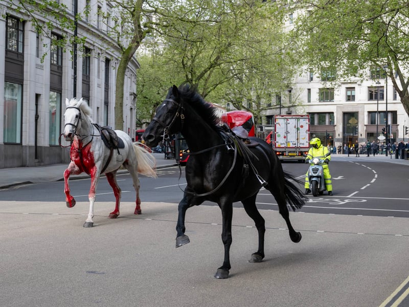 THE IMAGO PHOTOGRAPH OF THE YEAR AT UK PICTURE EDITOR'S GUILD 2025 AWARDS