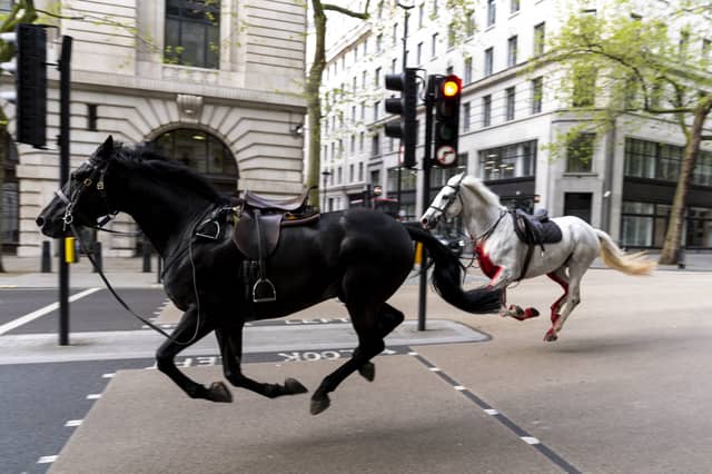 THE IMAGO PHOTOGRAPH OF THE YEAR AT UK PICTURE EDITOR'S GUILD 2025 AWARD