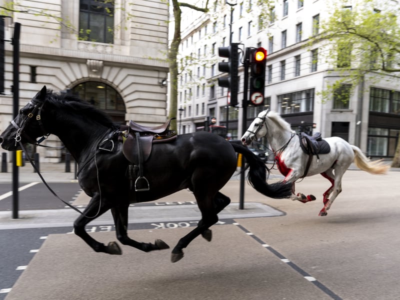THE IMAGO PHOTOGRAPH OF THE YEAR AT UK PICTURE EDITOR'S GUILD 2025 AWARD