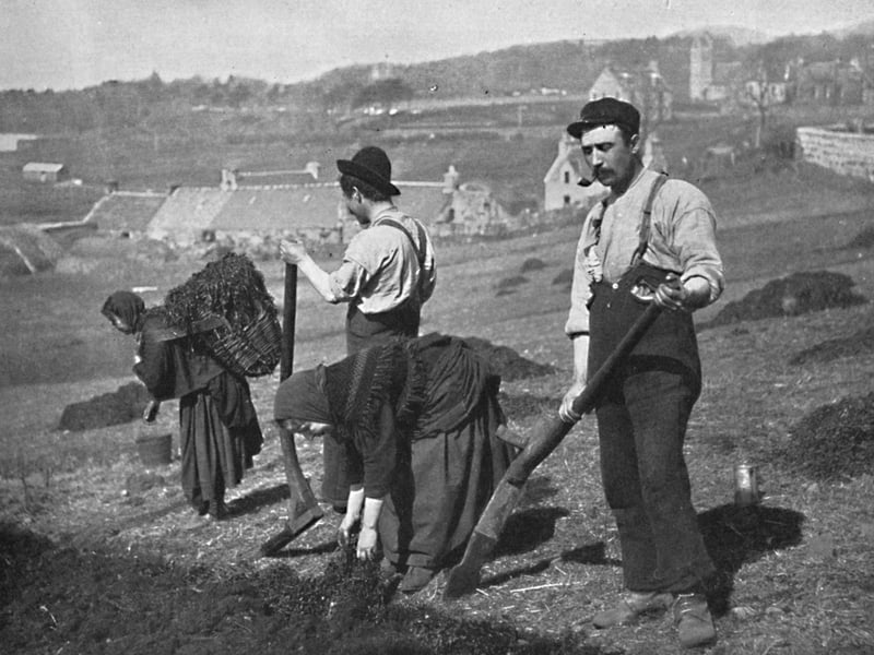 Planting potatoes in Skye, Scotland, 1912