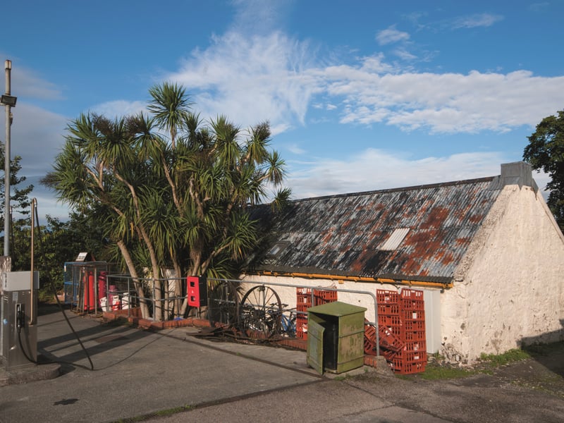 A touch of the tropics hints at the pleasant microclimate on Gigha, just three miles from the mainland off the Kintyre Peninsula.